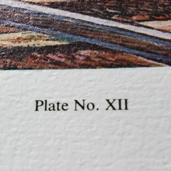 "The General" Limited Edition Collectors Print by C. W. Vittitow - Picture 7 of 10